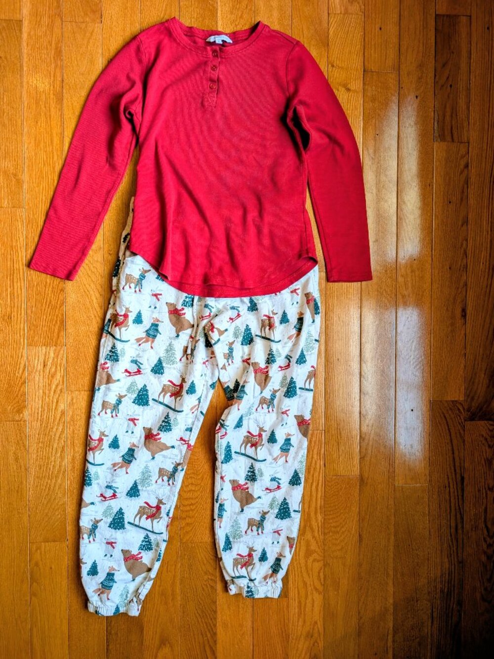 The Company Store Cozy Winter Holiday Print Pajamas Women's Size S